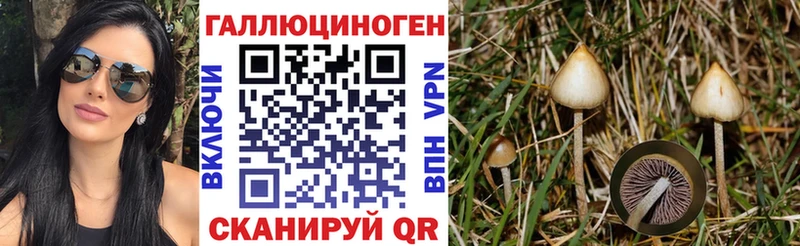 Галлюциногенные грибы ЛСД  где можно купить   Людиново 